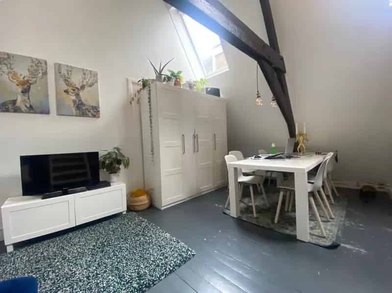 Studio Utrecht Centrum 48m2 Vide