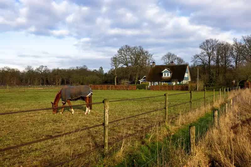 Landhuis Veluwe: 251m2, Paardenstallen, 26000m2 grond