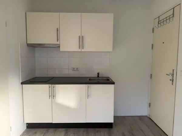 2 Kamer Studio Utrecht Oog in Al 22m2 gerenoveerd