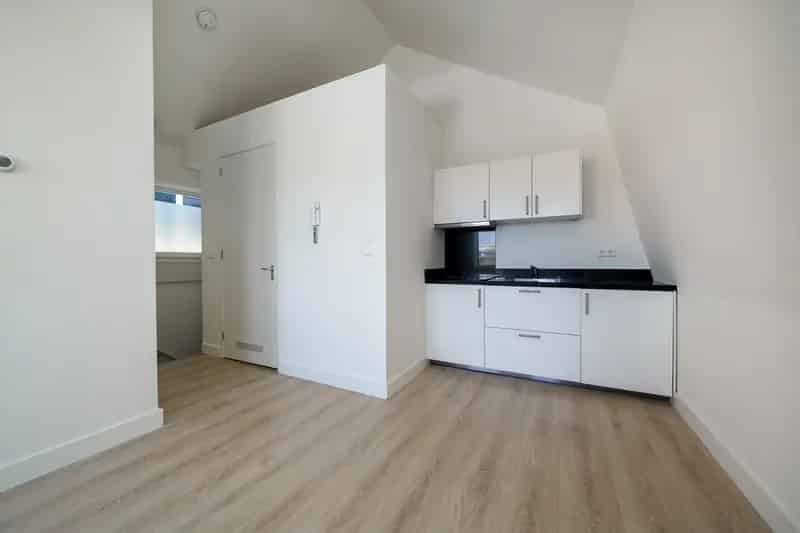 Gerenoveerd 2-kamerappartement Delfshaven