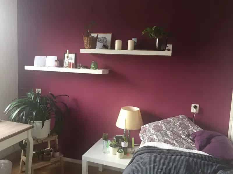 Studio Tilburg Molenstraat Studentenhuis