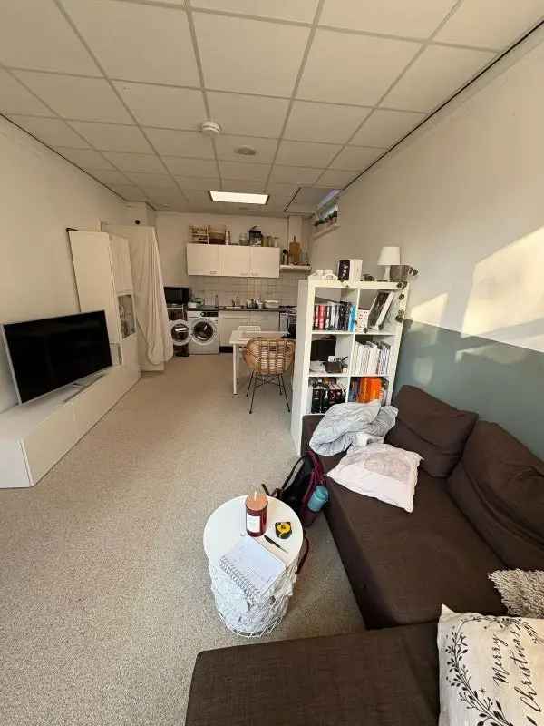 Appartement Groningen: 33m2 Starter/Student Appartement met Tuin