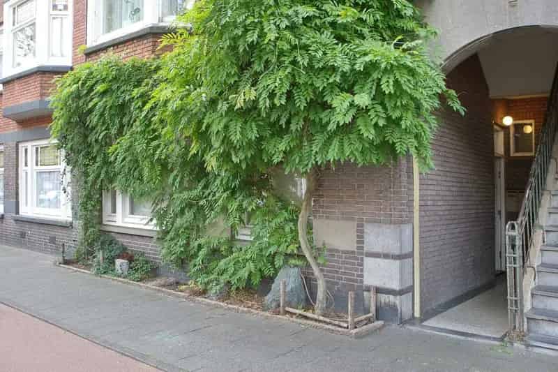 Appartement te koop Den Haag Goeverneurlaan: Japanse tuin en luxe afwerking