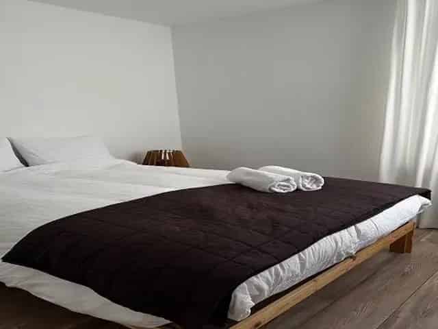 Kamer Maastricht Vrijthof Nabij Parken Gemeubileerd Vrouwen