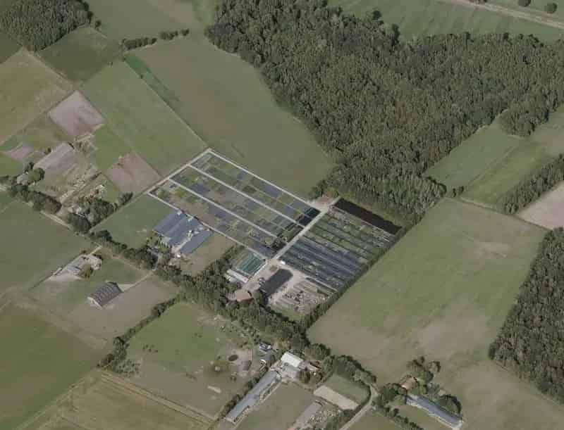 Bedrijfsloods 1300m² en 4ha Containerveld te Huur Sterksel