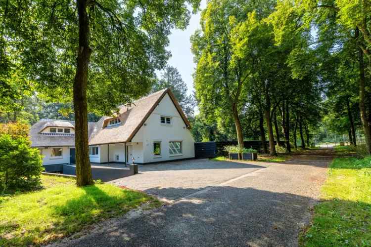 Huis te koop: Amsterdamseweg 248 6816 VN Arnhem 