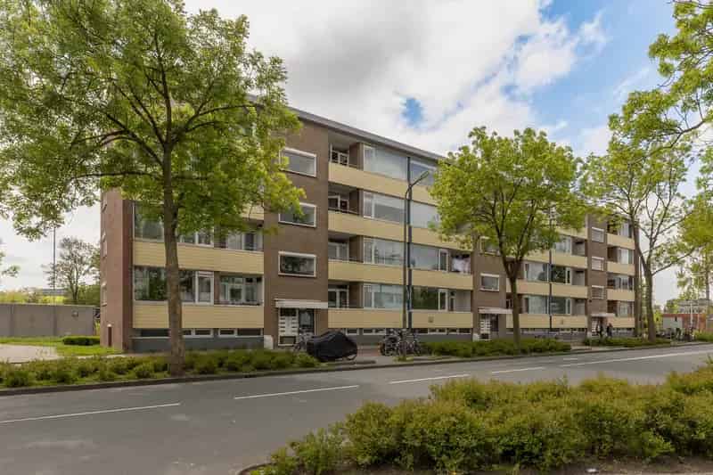 Gerenoveerd 3-kamer appartement Overwhere Zuid