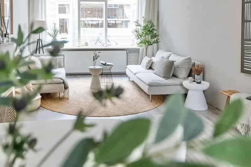 Stadswoning Haarlem Tuin Centrum Nabij