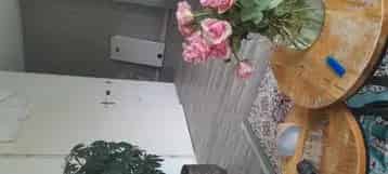 Huis Te Huur , Zuid-Holland
