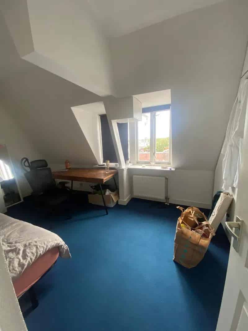 Kamer te huur per 1 juli: Kattenliefhebber gezocht