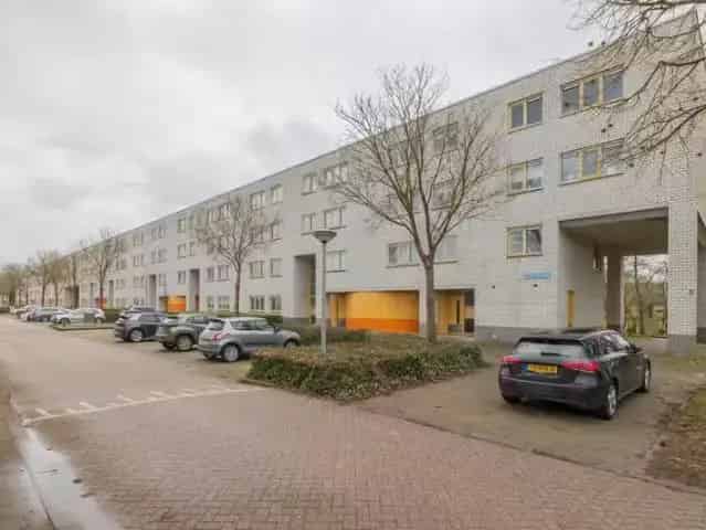 3 Kamer Appartement Almere Muziekwijk Noord 2024 Gerestyled