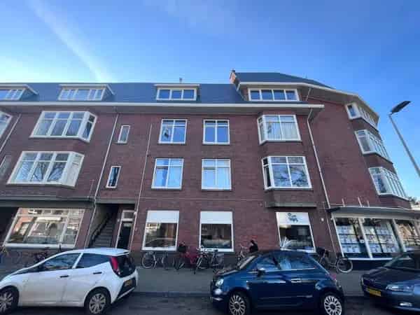 Studio Laan van Eik en Duinen Den Haag