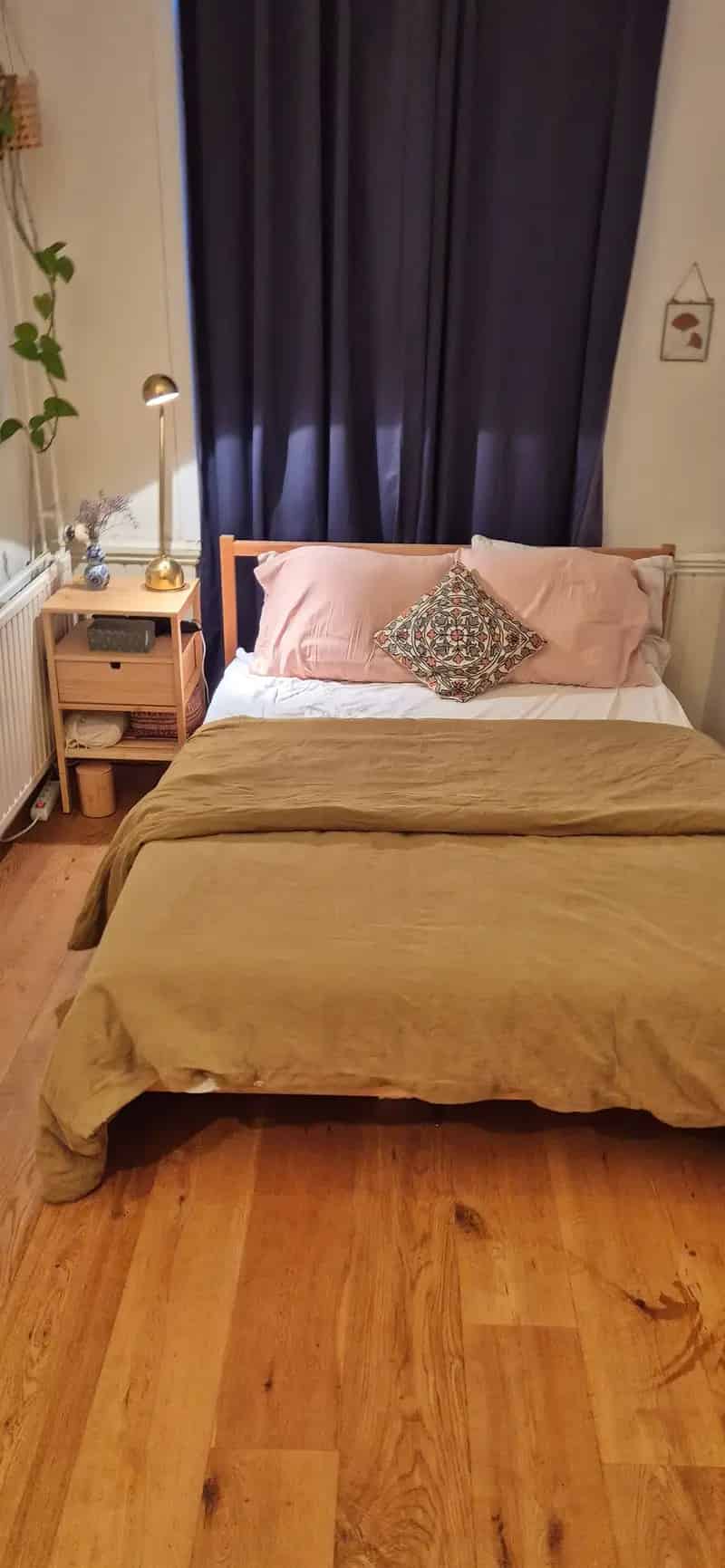 Gemeubileerd Appartement te Huur met Kat