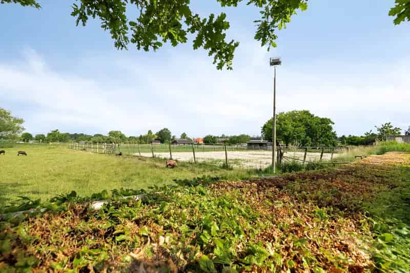 Ruime Hoekwoning Woudrichem: Gezinswoning of Levensloopbestendig