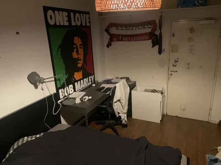 Kamer Delft te huur Mei-September