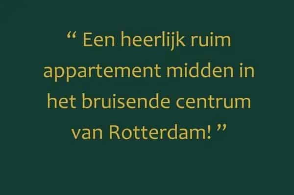 Appartement Rotterdam Centrum: Lichtrijk & Stijlvol