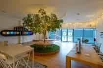 750 m2 Bedrijfsruimte te Huur Sittard