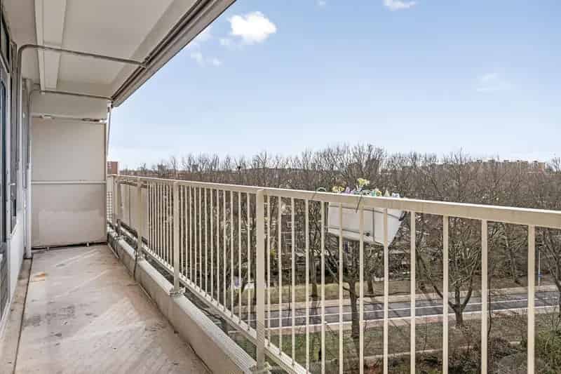 Ruim 3 Kamer Appartement Louis Couperusplaats