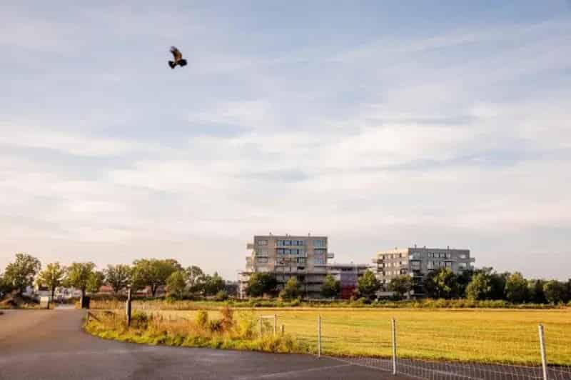Hof van Rhijnwijck Odijk Seniorencomplex Appartementen 65 jaar plus