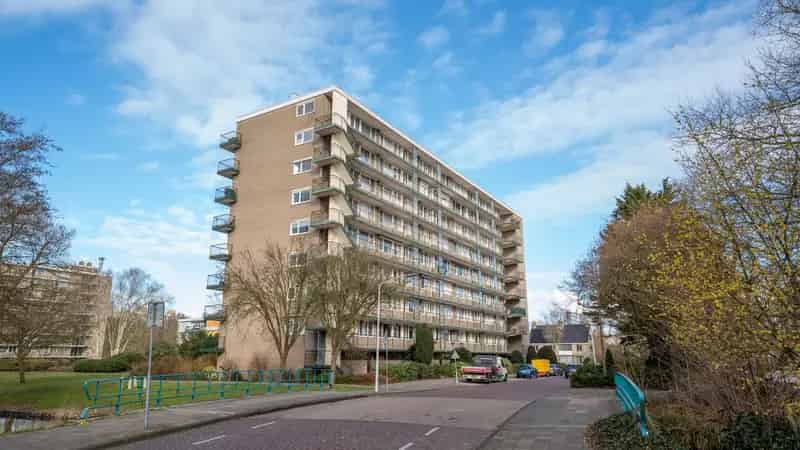 Ruim 3 Kamer Appartement Leiden Apollolaan