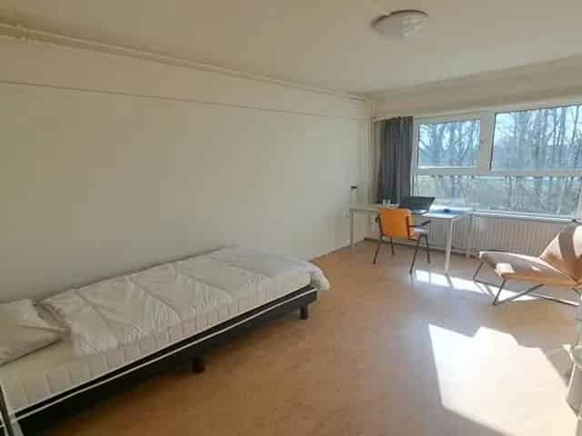 Studentenkamer Nijmegen 16m2 eigen douche