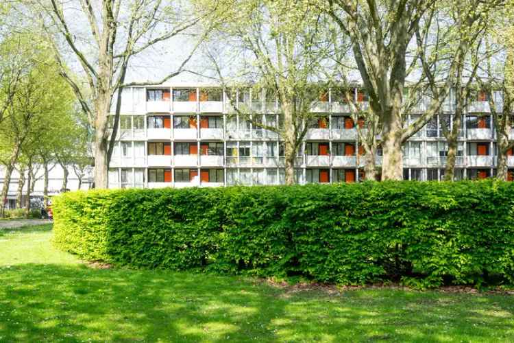 Ruim appartement Amsterdam Noord 3 slaapkamers balkon