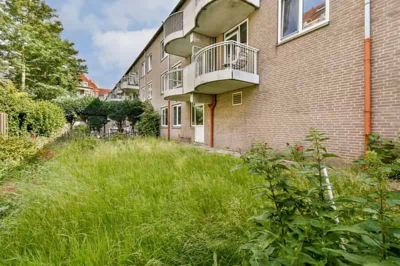 Appartement Amsterdam Spaarndammerbuurt Grote Tuin