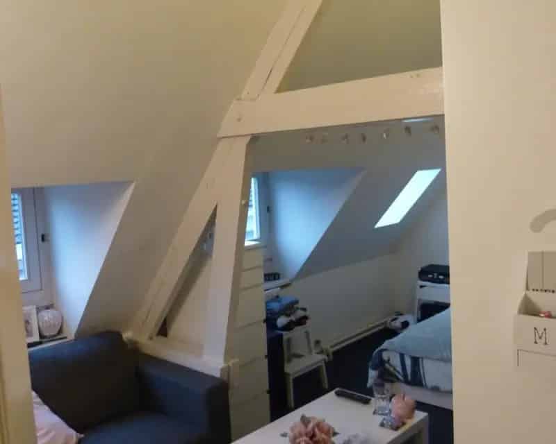 Grote Kamer Tilburg Centrum Nabij Fontys Universiteit