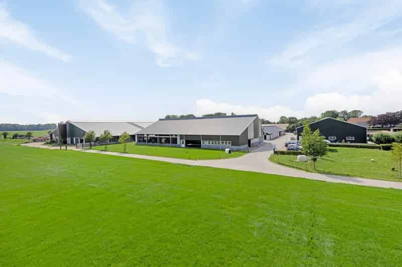 Melkveebedrijf Noordbroek 700 Koeien 260 Hectare