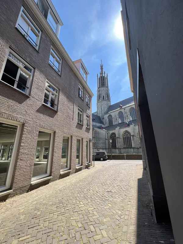 8 Lofts nabij Sint-Wilibrordusbasiliek in Hulst