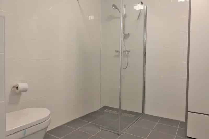Ruim 3-kamer appartement te huur Leidsche Rijn Centrum
