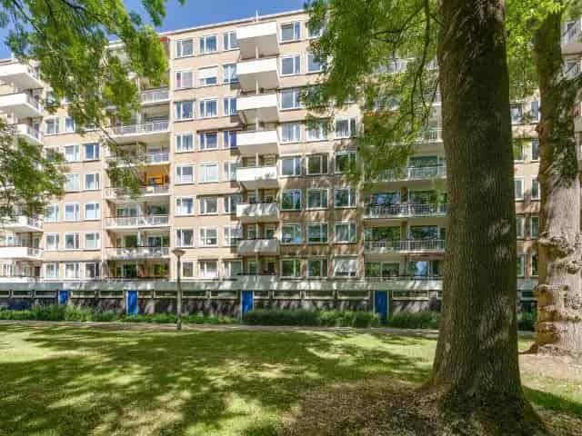 Appartement Amsterdam Zuid: Modern comfort nabij parken en winkels