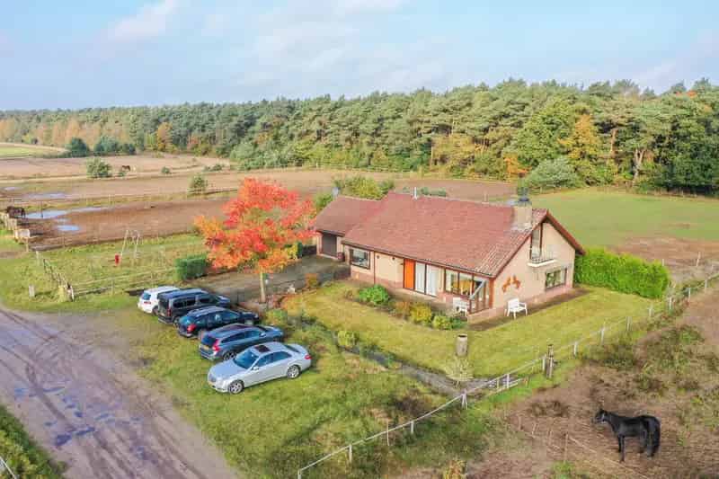Paardenhouderij Veluwe 156 hectare 2 woningen stallen