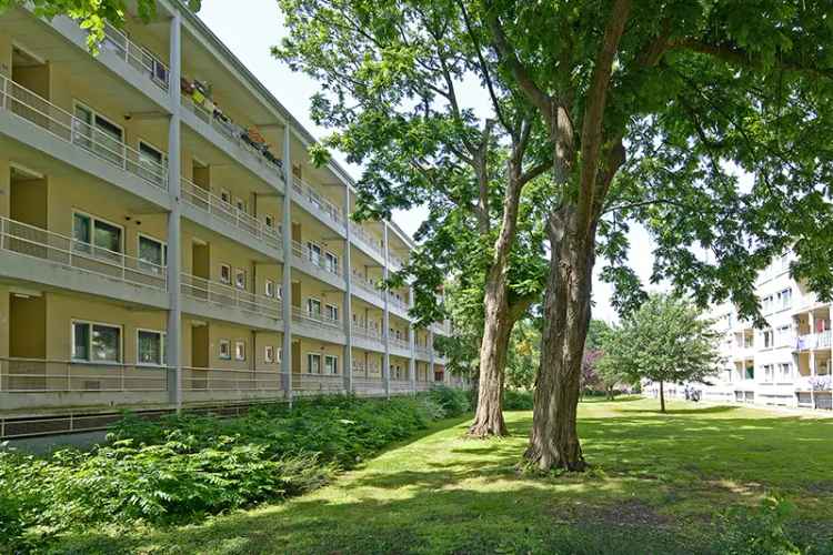 2 Kamer Woning nabij Zuiderpark Geschikt voor Jongeren