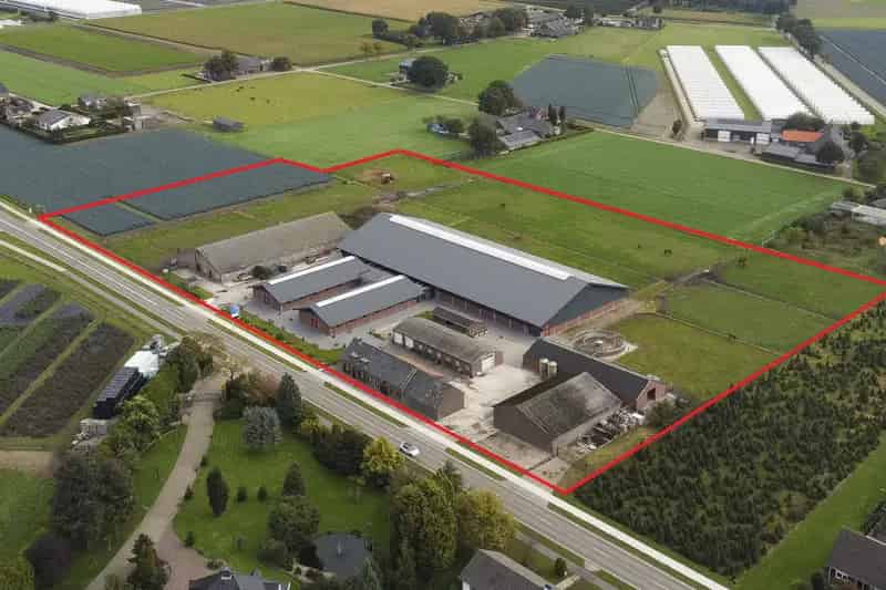Hippische Accommodatie Helden 45 Boxen 25 hectare