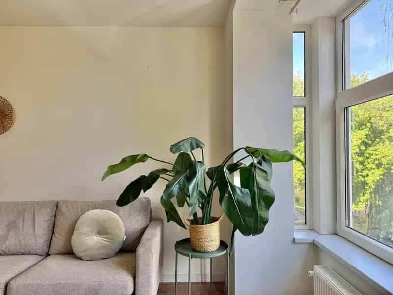 Appartement te koop Rotterdam: 4 Slaapkamers, 92m², Balkon, Energielabel A