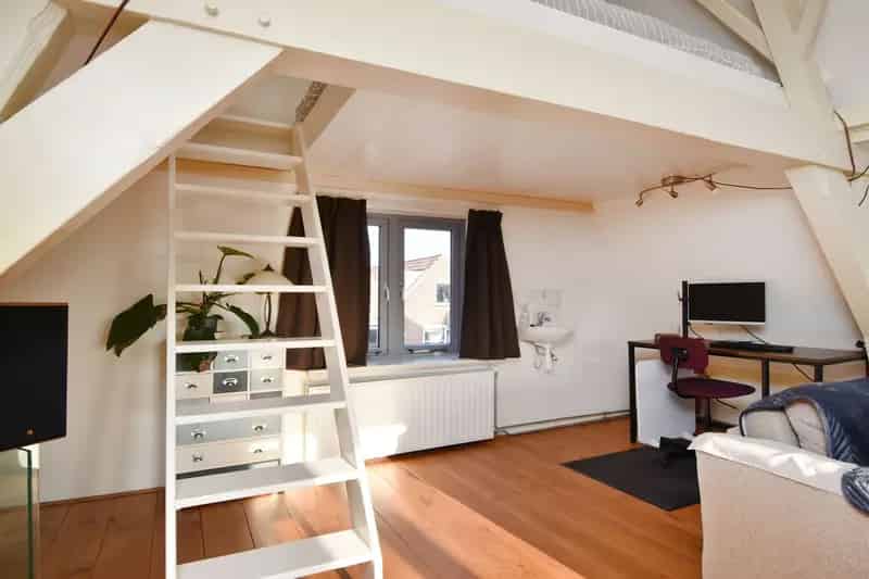 Dubbel Bovenhuis Delft Centrum Grachtenzicht Dakterras
