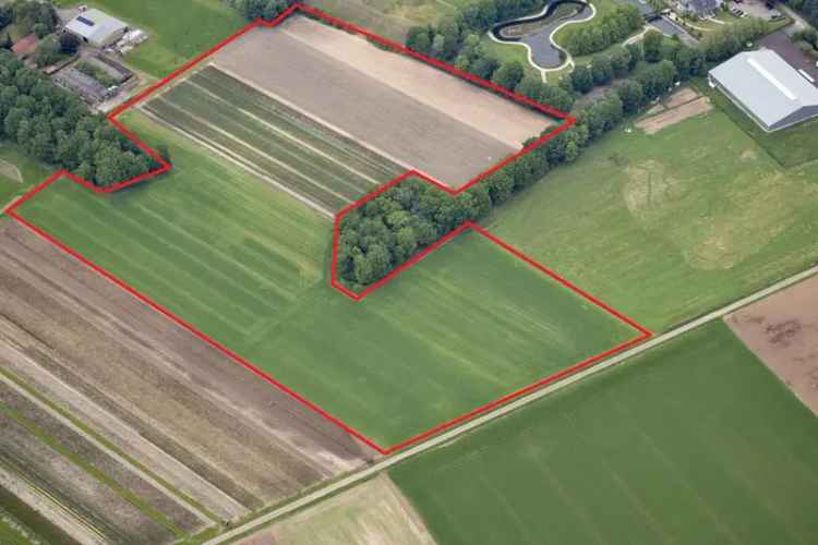 Agrarische grond Broekhuizen (LI) | Zoek agrarische grond te koop: Horsterweg 5872 CC Broekhuizen (LI) [funda in business]