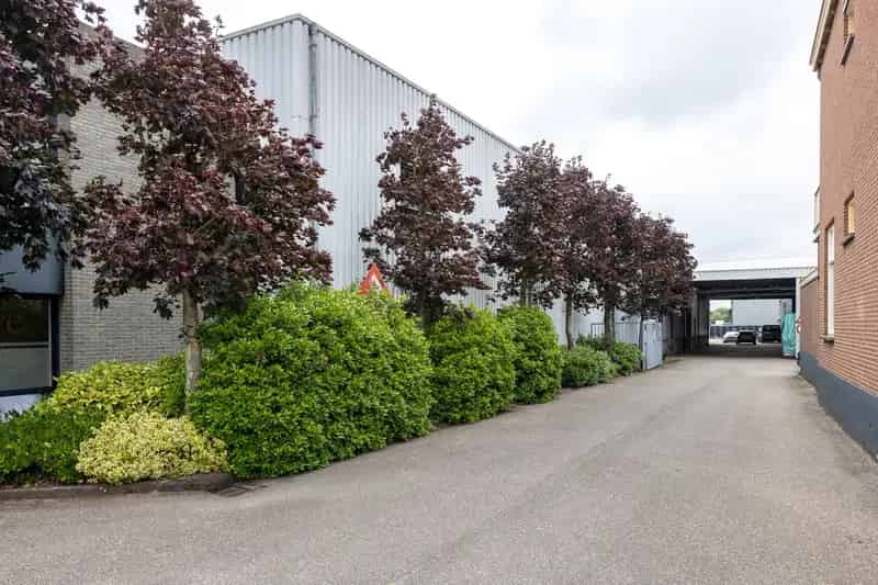 Bedrijfshallen te Huur Lisse Heereweg