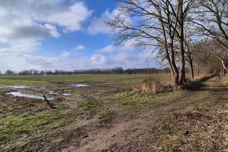 Agrarische grond Vinkel 51 hectare te koop