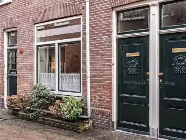 Benedenwoning Haarlem Centrum Te Moderniseren