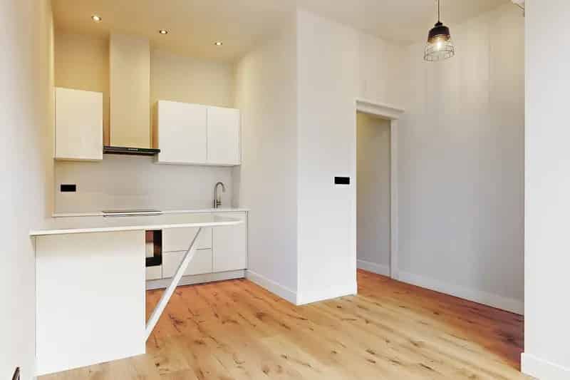 2 Kamer Appartement Leiden Centrum  42m2  Volledig gerenoveerd
