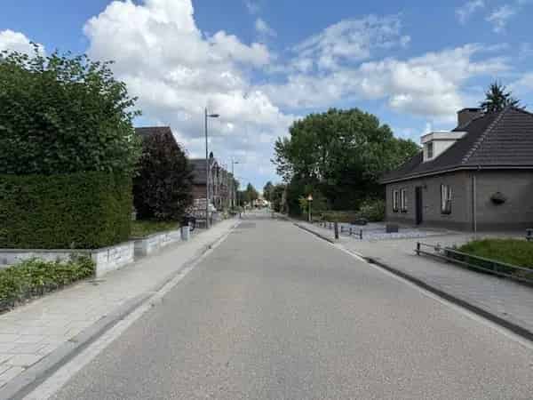 Tweekapper Leeuwen Ruime Tuin Nieuwe Keuken