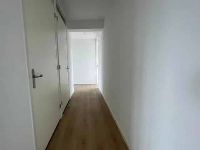 Luxe Penthouse 185m2 Amsterdam IJmeer