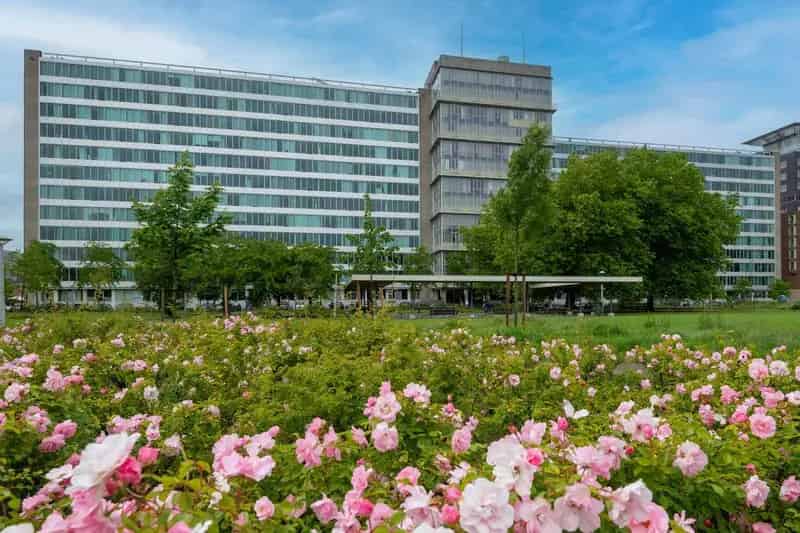 Amsterdam West Studio Appartement Nabij Parken