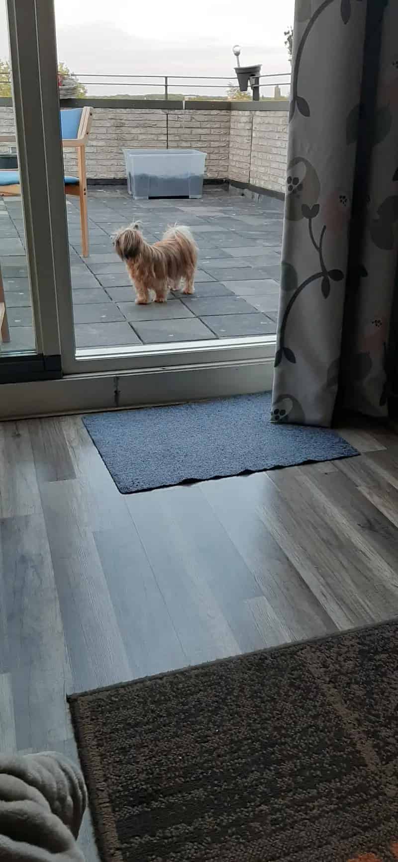 Woningruil: Ruime woning met groot terras