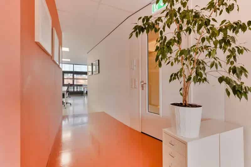 Kantoorruimte te huur Amsterdam Schinkel 184m²
