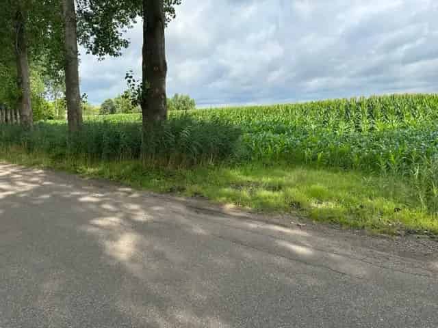 Agrarische Grond te Koop Gemonde
