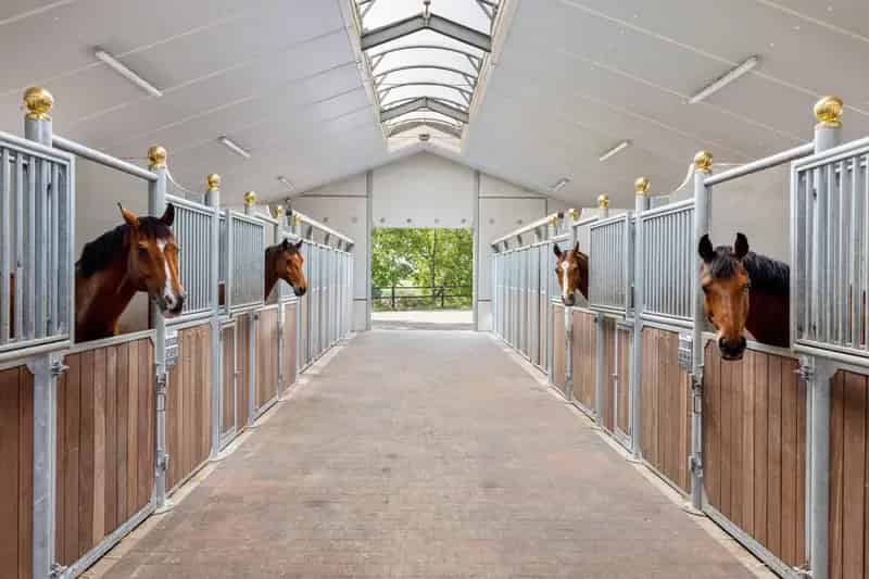 Huis te koop: Hippische accommodatie met woonboerderij en weilanden