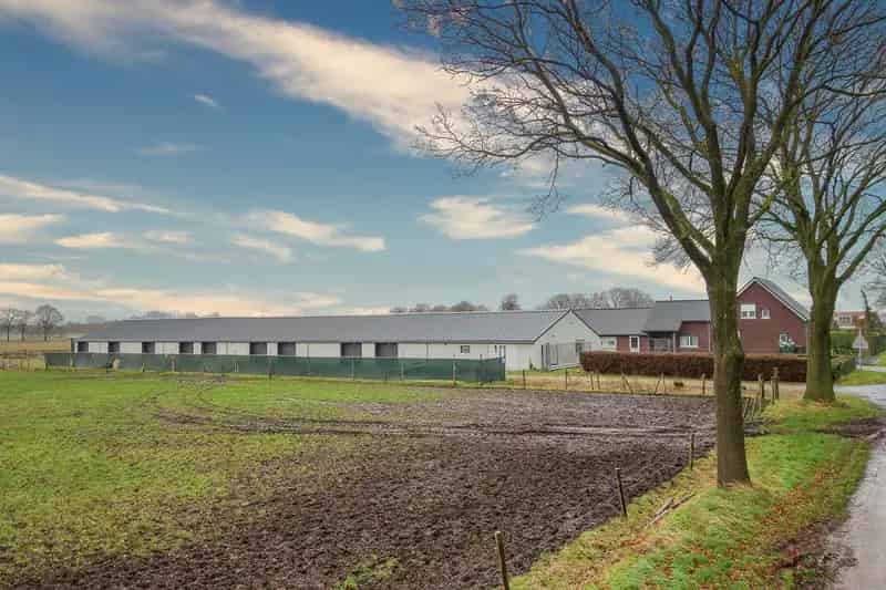 Belegging Ospel: 10 Opslagboxen en Paardenstal te Koop